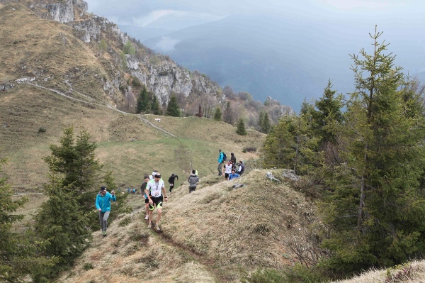 Formico Trail 2014 - foto: Brena/Cometa Press
