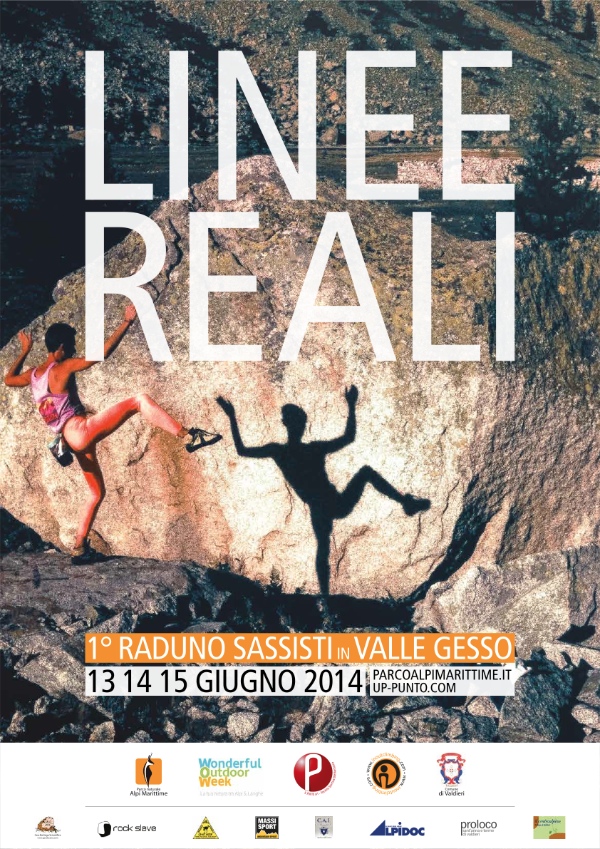 Linee Reali 2014 - locandina