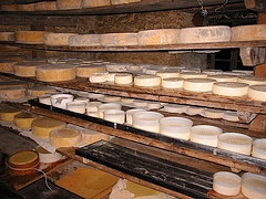 formaggi di montagna - fonte: www.conipiediperterra.com