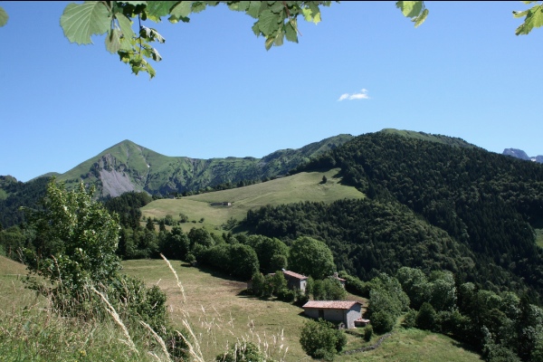 Vista sulle praterie della Valzurio. Foto: Roberta Cucchi