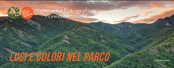 600px-foreste-casentinesi-concorso-luci-e-colori-nel-parco-visual2015