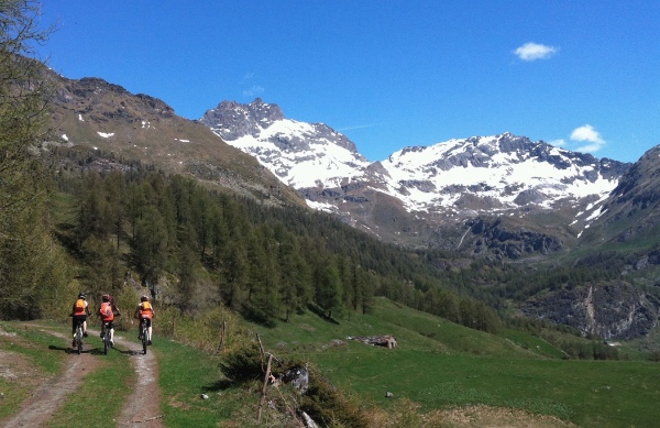Grand Prix Mtb Valle d'Aosta. Fonte: press Torgnon