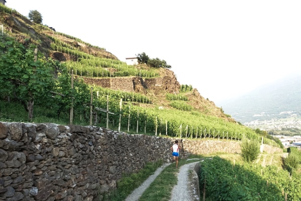 Foto arch. Valtellina Wine Trail