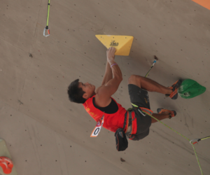 Coppa del Mondo di arrampicata sportiva Lead a Wujiang, 2015. Fonte: IFSC 