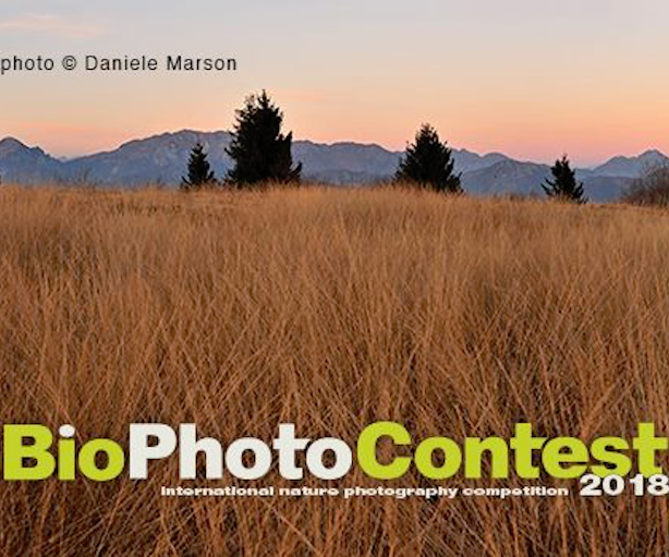 L'edizione 2018 del BioPhotoContest sarà dedicata a praterie, steppe e