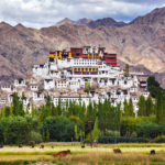 Il monastero di Thiksey, Ladakh, India