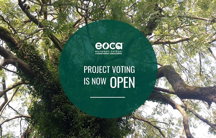 progetto voto eoca 2021