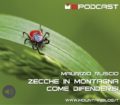 zecche in montagna