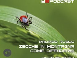 zecche in montagna