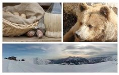 236px-turismo-nelle-aree-protette
