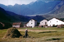 250px-Una-sera-all_alpeggio-Case-di-Viso-luglio-1964