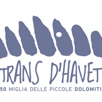 206PX-TRANS-D-HAVET-Logo