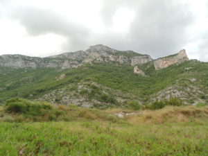 DSC02158