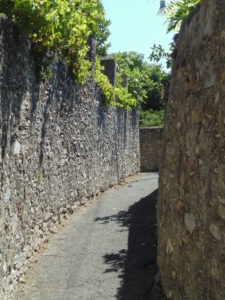 DSC02166