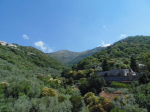 DSC02169