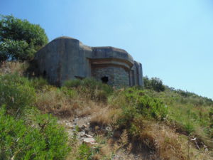 DSC02173