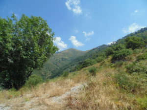 DSC02184