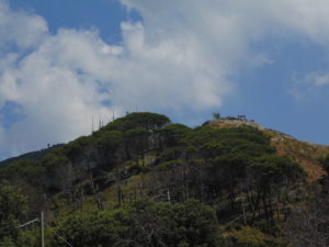 DSC02192