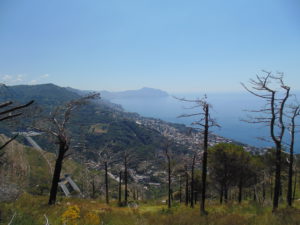 DSC02194