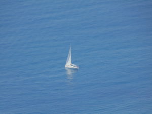 DSC02209