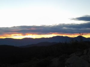 2014-07-30 20.56.04