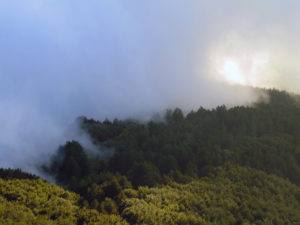 DSC02376