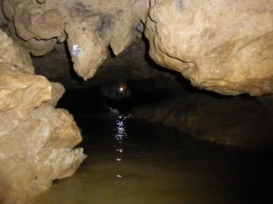 IMGP0696