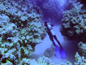 makadi bay 8