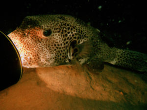test2
