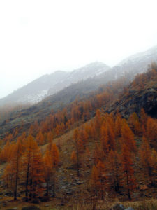 DSC03850