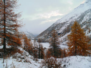 DSC03963