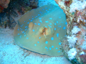 DSCF0048