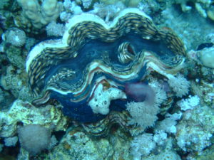 DSCF0067