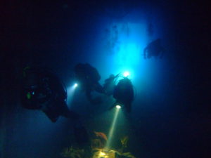 DSCF0133