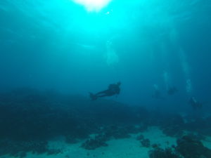 DCIM100GOPRO
