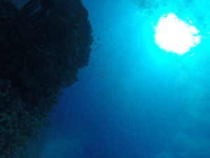 DCIM100GOPRO