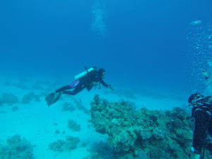 DCIM100GOPRO