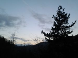 2014-12-20 08.02.28