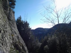 2015-01-25 14.06.15