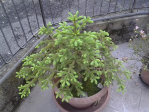2015-04-24 18.59.03