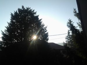 2015-05-07 07.33.45