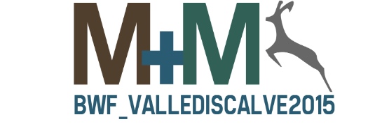 535px-Montagne-Montanari_logo