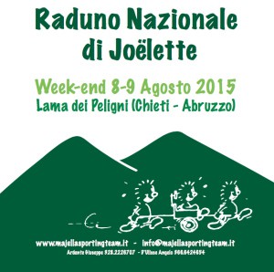600px-raduno-nazionale-di-joelette