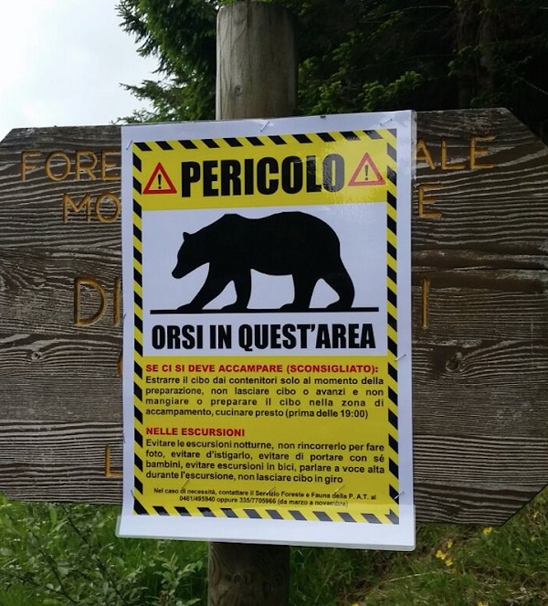 orso trentino