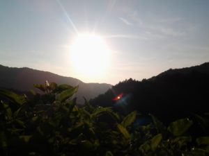 2015-07-12 19.43.46