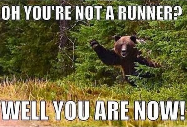bearmeme