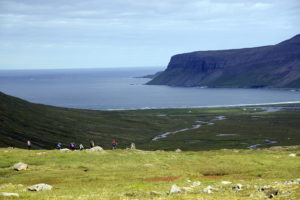 2015-08-11_29572-Hornstrandir-Furufjordur