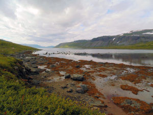 DSC04686