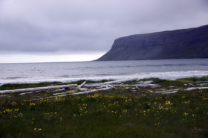 2015-08-12_29669-Hornstrandir-Furufjordur
