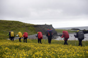 2015-08-12_29688-Hornstrandir-Furufjordur
